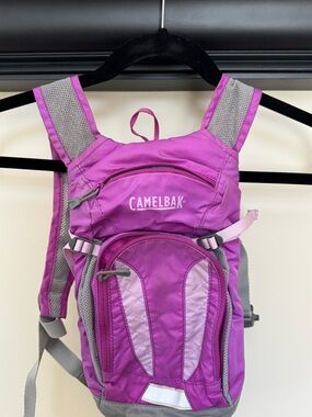 CamelBak Gray and Magenta Hydration Backpack Strap